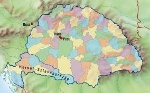 uploaded image