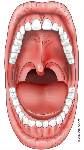 uploaded image