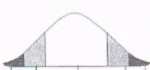 uploaded image