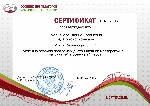 uploaded image