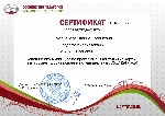 uploaded image
