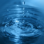 uploaded image