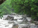 uploaded image