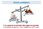uploaded image