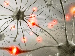 uploaded image