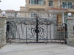 uploaded image