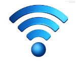 uploaded image