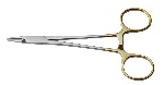uploaded image