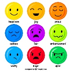uploaded image