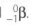 uploaded image