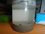 uploaded image