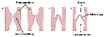 uploaded image