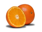 uploaded image