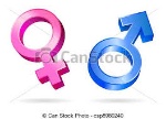 uploaded image
