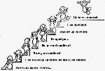 14718798_312074359166153_1730115869808539081_n