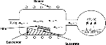1-s2.0-S0079642501000093-gr1