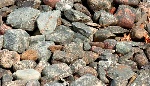 Other Rocks for Coofle