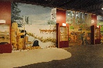 Gallery-2