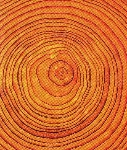ddefa31957cce7e281b56a8d552082f2--orange-trees-orange-orange