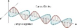 57dc0a05e97d3-ondas-eletromagneticas