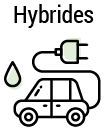 hybrides2