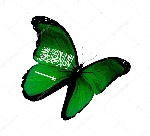 imajen
