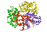 depositphotos_87102444-stock-photo-molecular-structure-of-hemoglobin
