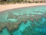 Fringing-Reef