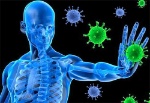 the immune system full
