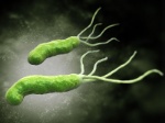 dt_180329_helicobacter_h_pylori_800x600