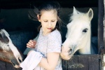 kids-893431_960_720