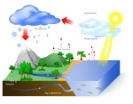 Ciclo-del-Agua